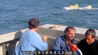 49年前的一部经典电影，再次重温 依旧惊心动魄 紧张刺激！ # 我的观影报告 # 鲨鱼 # 冒险 # 惊悚刺