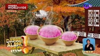 Pink rice sa Korea, hinaluan ng ‘beef cells’ para madagdagan ang sustansya nito | Dapat Alam Mo!