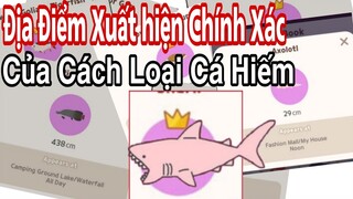 Play Together | Tổng Hợp  Các loại "Cá Hiếm" Trong Play Together Và Vị Trí Chính Xác Của Chúng