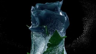 MY LETHAL MAN(2023)🐝EP20🇨🇳🇨🇳