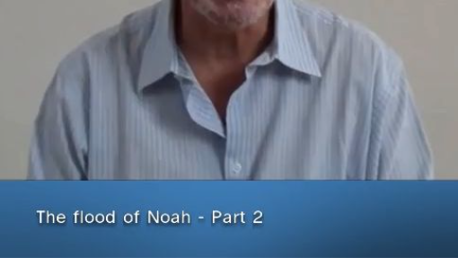 2026-03-09-the-flood-of-noah---part-2-clip