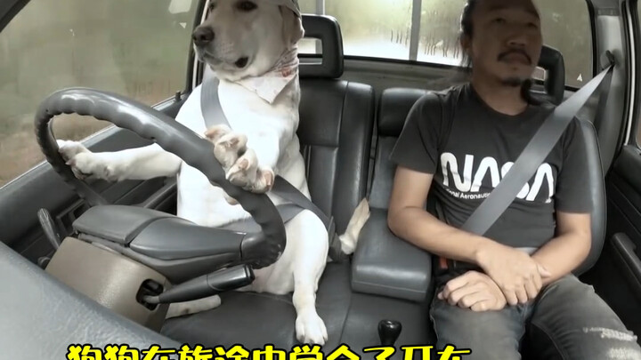 Pria paruh baya dari luar negeri akhirnya wujudkan impian masa kecil setelah bertahun-tahun berjuang