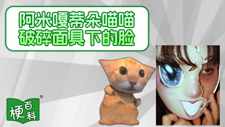 [Meme Encyclopedia] What's the deal with "Amigadito Meow Meow"? Is it the viral broken mask from ove