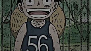 saya sudah menunggu sangat amat lama oda 🥶