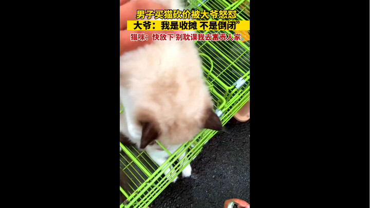 On June 8th in Henan, a man haggled over the price of a cat and was snapped at by an elderly vendor: