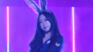 【抖抖抖】发烧路演初体验【DDD】