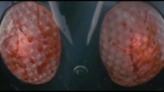 “Although the fighting scenes are not satisfactory, the transformation effects are really cool.”