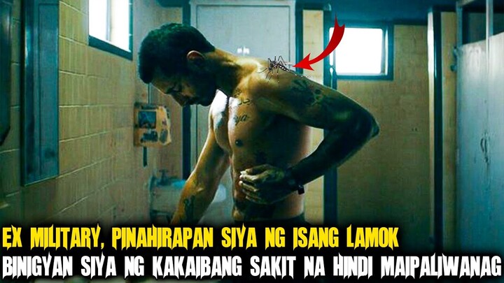 Pinarusahan Ang Marine Na Ito Ng Isang Lamok, Labis Siyang Naghirap Dahil Dito