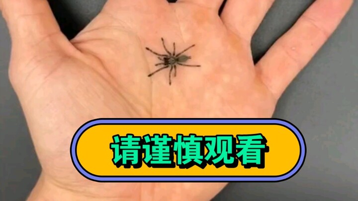 Ayo, kawan-kawan, hari ini semua yang bikin kalian takut ada di sini. Tonton dengan hati-hati.