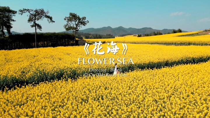 “99 Câu Chuyện Giữa Tôi và Jay Chou” – Tập 19: “Biển Hoa”