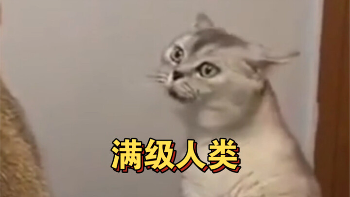 Buku Panduan Kultivasi "Manusia Level Penuh"