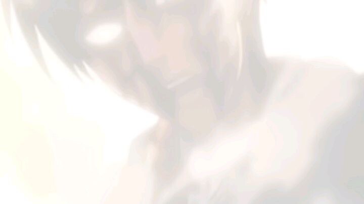 #levi#clean freak#captain#