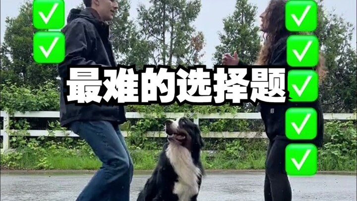Puppy, do you love dad or mom more?
