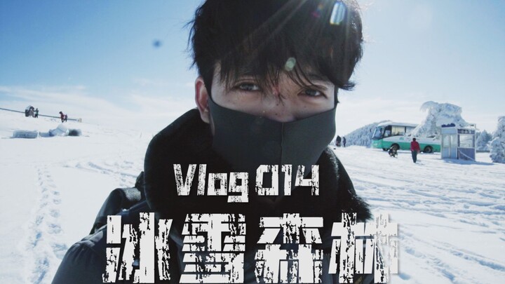 โลกแห่งน้ำแข็งในป่าดิบชื้นทางใต้ «เสินหนงเจี่ย» Vlog014