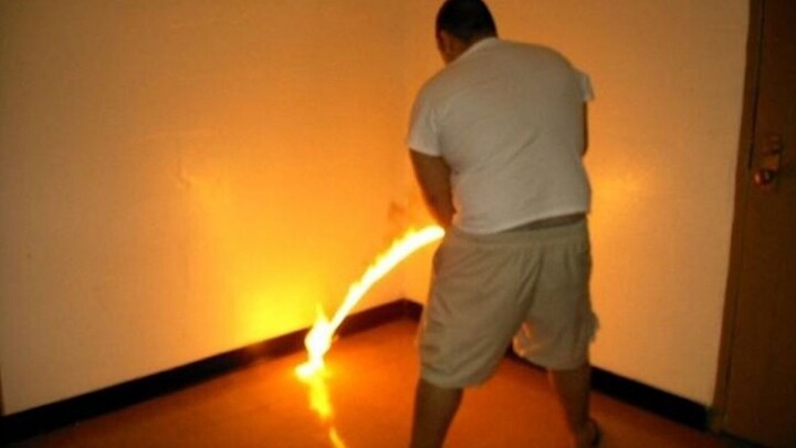 International Funny Video Compilation & Animal Confusing Behavior Awards #72