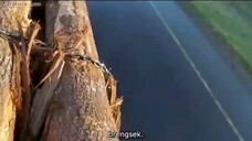 Final Destination 2 (2003)