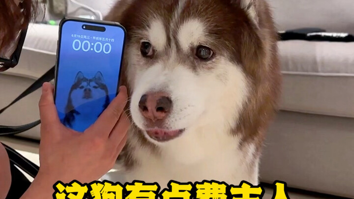 A brave person doesn’t just enjoy the world—they dare to face it all.