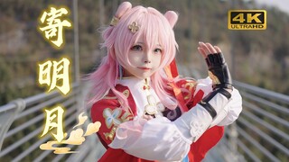 过年就要：寄寄寄！明月！❀