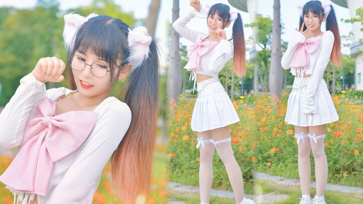 Please don't turn away your little kitty QAQ Full-screen, one-take video