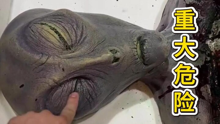 Gặp những nguy hiểm chết người này, nhất định đừng chọn bừa nhé!