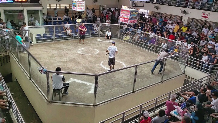 1st fight, Talo na, nanalo pa, sagad sa tibay na hiraw @pateros coliseum