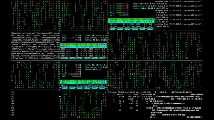 Programming language for Hacking