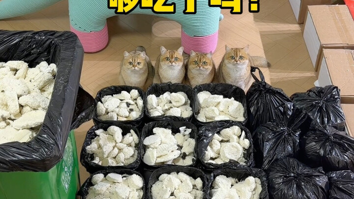 Tolong… Gak nyangka malah lebih banyak daripada tahun lalu……