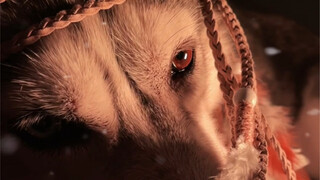 Ngàn năm trước, ta cũng từng là một thành viên của tộc Lang.