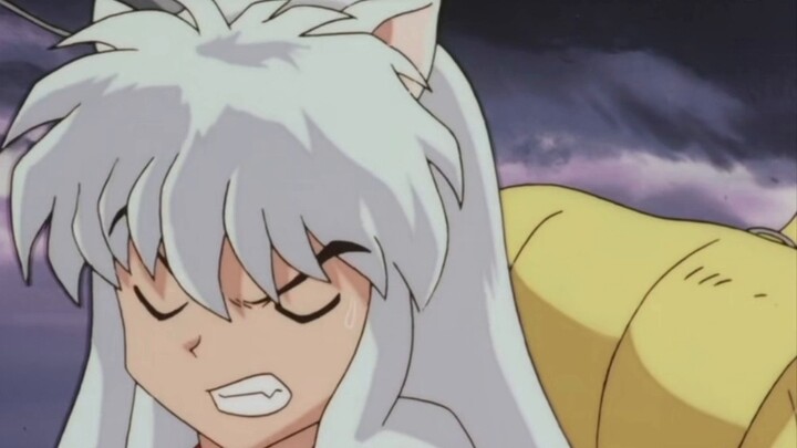 [ InuYasha ] I don't know that my wife is beautiful, but everyone knows that Kagome is the woman you