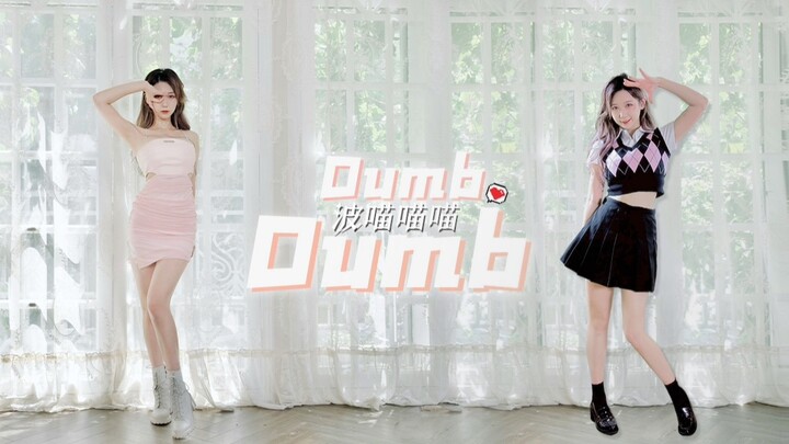You’ve fallen into my trap – DUMB DUMB, Bo Miao cover