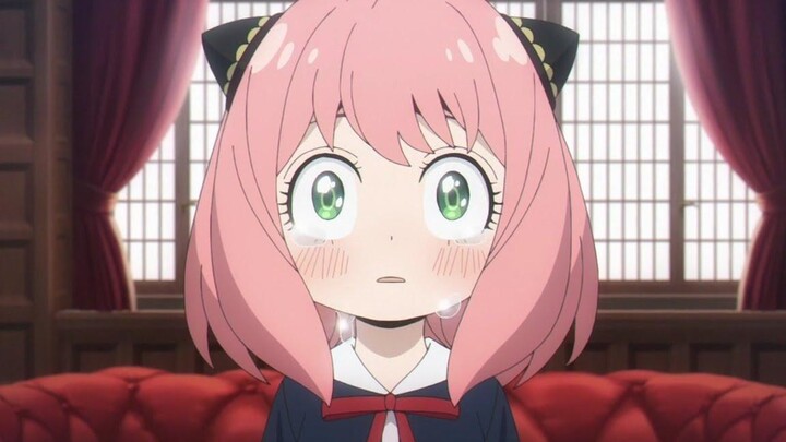 Spy x Family「 AMV 」เบิร์น