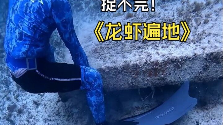 Di bawah papan batu dipenuhi oleh lobster, seru sekali menangkapnya!