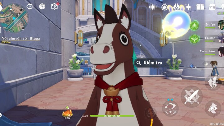 Ngựa non ngáo đá