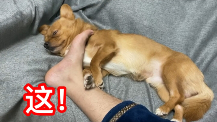 How to Turn a “Cool, High-End Lady” into a “Stalker”?