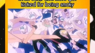 Sanji and Zoro got kicked