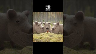 Pig - MOGMOG PLANET Observation Diary | It's Anime #shorts #anime #animals
