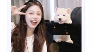 Congratulations to Ms. Lu for getting a new dog!