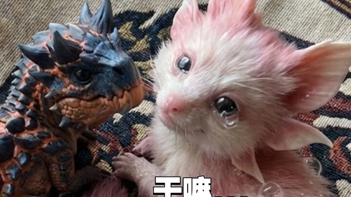 Baby Puff Fox Dragon