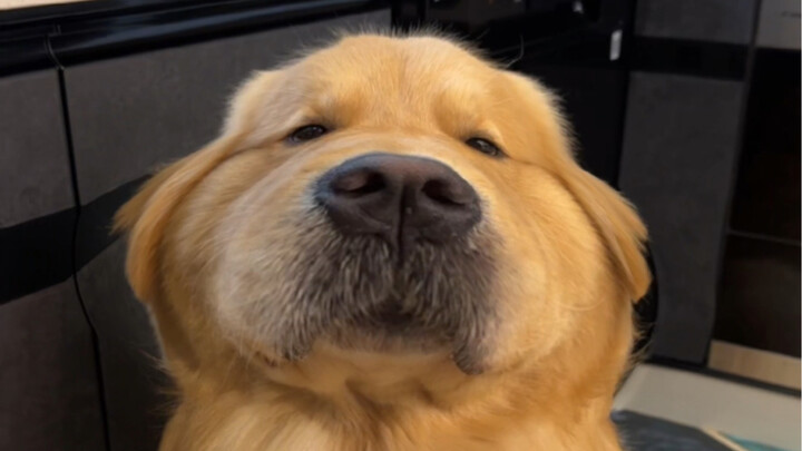So cute, so cute