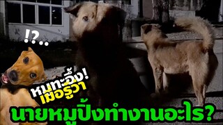 หมาหมูทะ อึ้ง เมื่อรู้ว่าหมา หมูปิ้ง ทำงานอะไร? OMG! น่ากลัวมาก