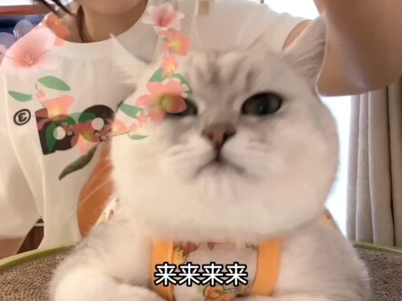ฟินเอ๋อร์: อย่ามาหลอกให้ฝันหวานนะ เงินเดือนต้องจ่ายสดเท่านั้น
