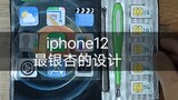 库克给我送来一台iphone12 设计非常的银杏