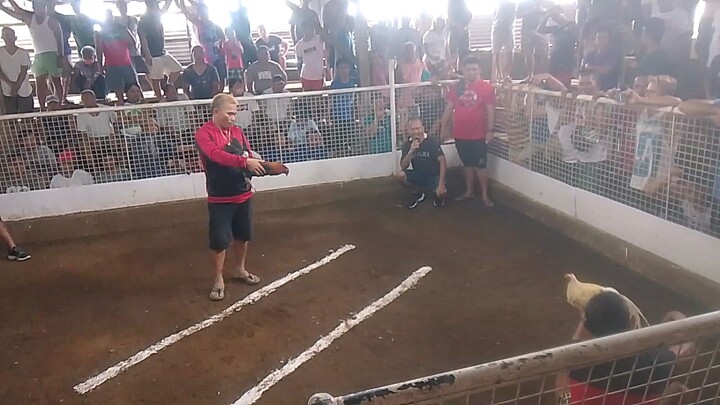 1ST FIGHT WHITE ON THE MOVES