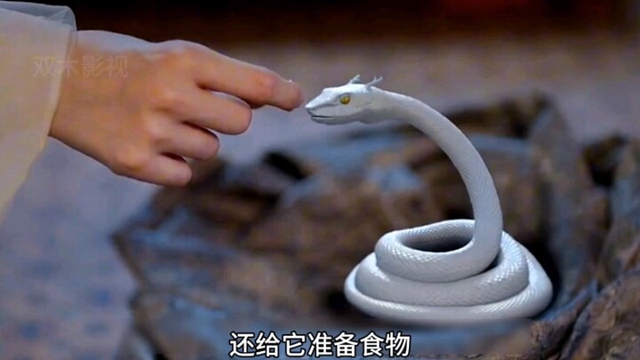 Cô gái vô tình cứu một chú rắn trắng nhỏ bị thương, nào ngờ thân phận của chú rắn lại cao quý đến th