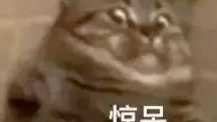 ！？การทดสอบสมรรถภาพนักศึกษามหาวิทยาลัยยังทำลายสถิติโลกได้ นี่เป็นเพียงขีดจำกัดของเครื่องมือ ไม่ใช่ขีด