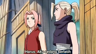 INO DAN SAKURA