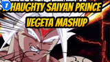 A Haughty Saiyan Prince: All of Vegeta's Forms / Starting From Super Saiyan First Stage_1