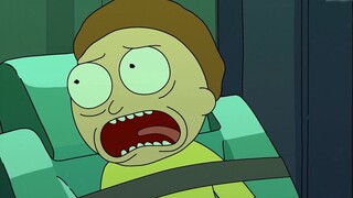 Rick and Morty Season 2 Episode 4 Rick vs. Parasyte -the maxim-!