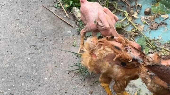 Nếu người bị lột sạch quần áo lại là bạn thì sao?