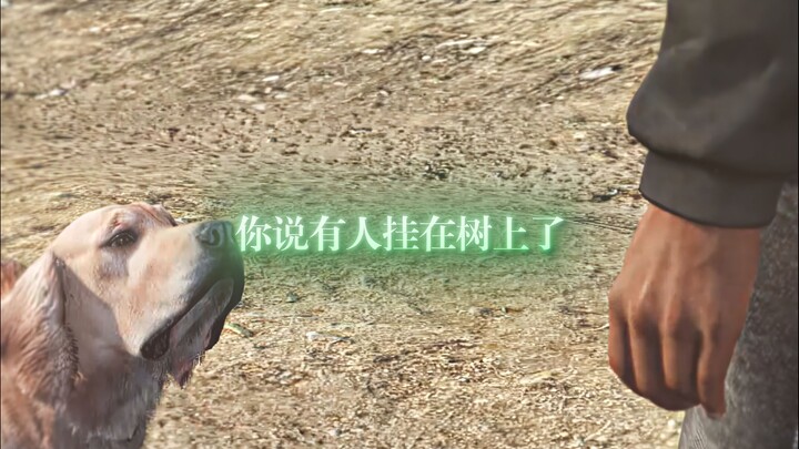 Master the Language of Dogs